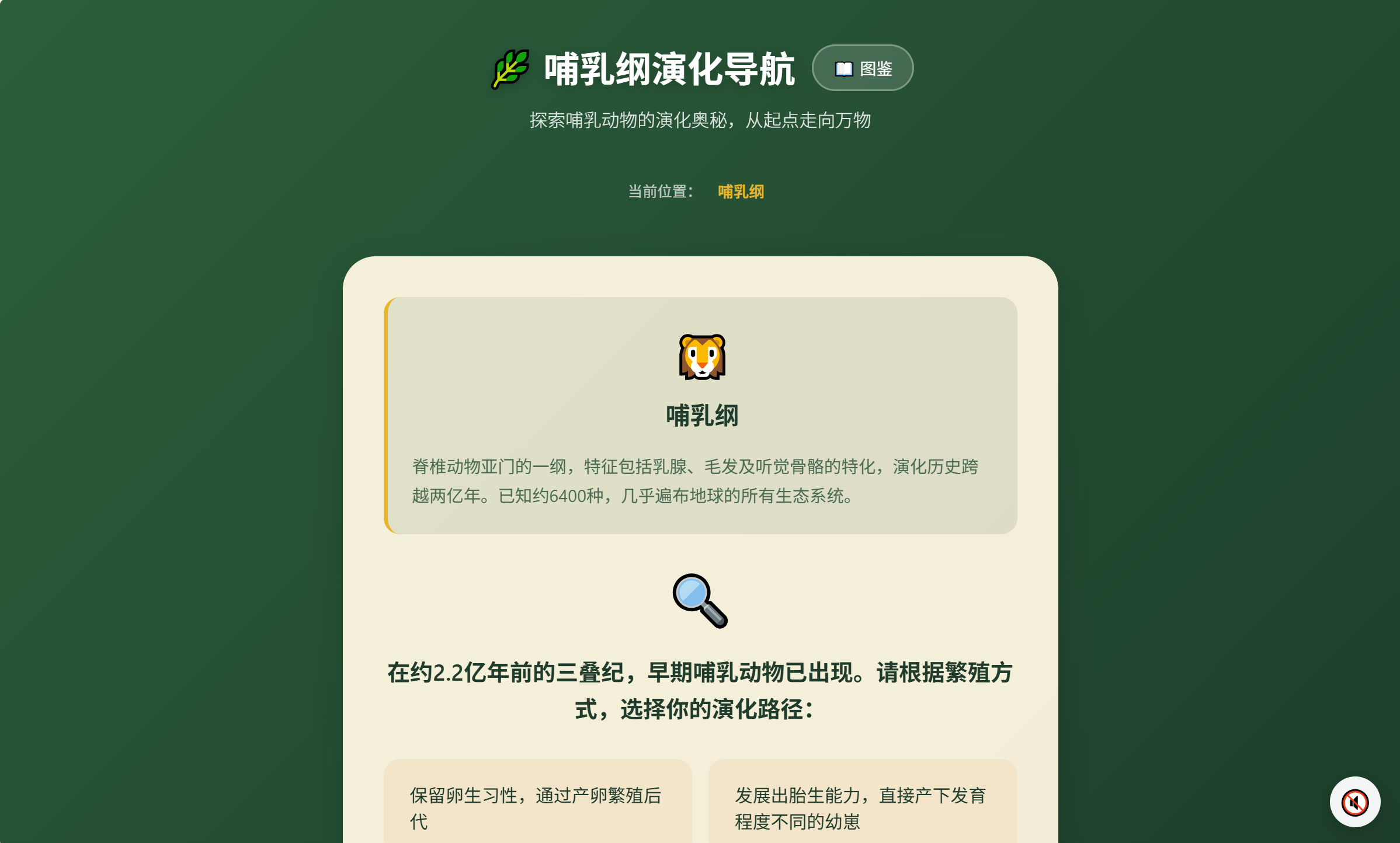 我的网站